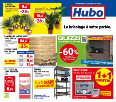 Hubo